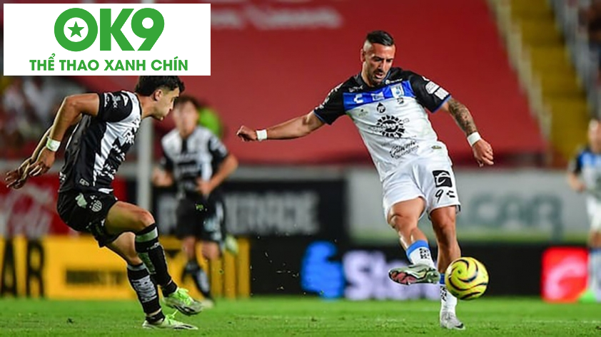 Logo đội bóng Necaxa Logo đội bóng Necaxa